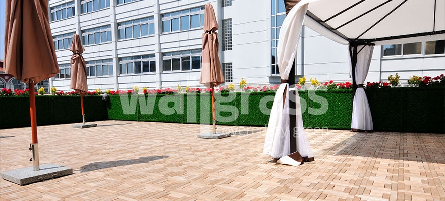 Artificial Grass Wall Panel Production and Applications in Europe
