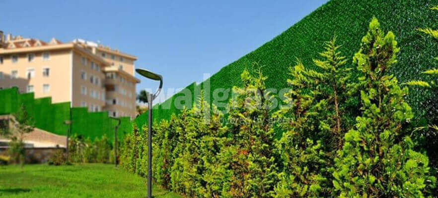 How to Plant Seedlings? Protect Your Trees with Wallgrass!