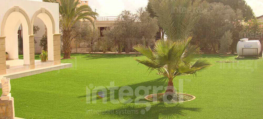 Trees To Plant In Your Garden and Wallgrass Surrounding Your Garden