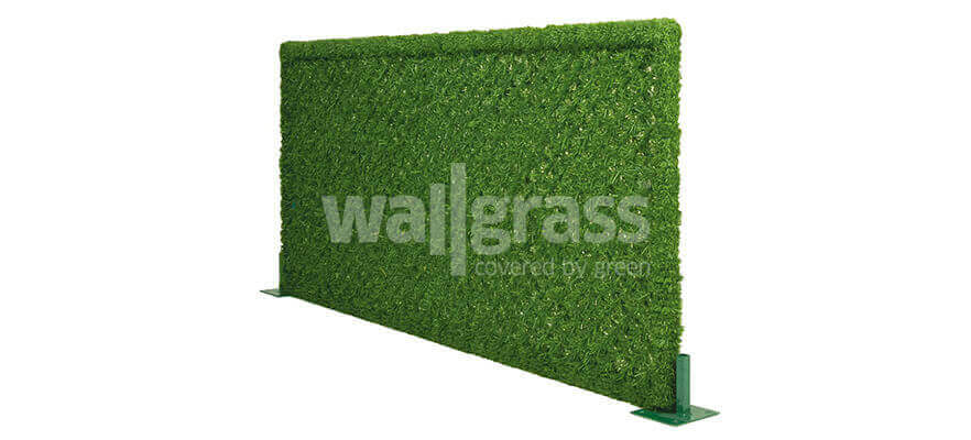 What Should be Done to the Terraces? Terraces Covered with Wallgrass!